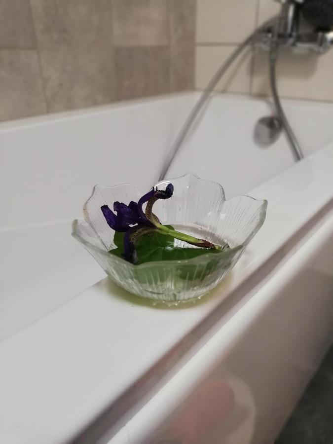 Froja Apartman Zator Kültér fotó